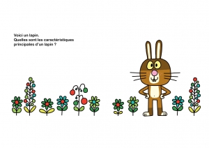 double page 6 et 7 de Lapin chasseur